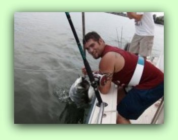 Tarpon fishing with fat cat charters